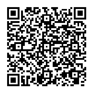 曼城球员在球场上依然尽职尽责地再完成贝尼特斯给他们安排的任务――防守反击二维码生成