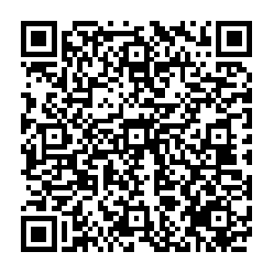 曼城的主教练斯图尔特・皮尔斯专门来训练场边和拜仁慕尼黑的主教练马加特见了一面二维码生成