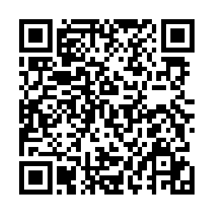 曼殊沙华因果万缘宝树已经完成身体内毒素的解析与重构二维码生成