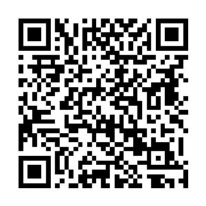 曼殊沙华因缘万果宝树成长为曼殊沙华因缘万果宝树树王二维码生成