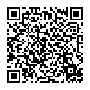 曾在户部任职多年现在担任右相主管户部的曹德安都亲自出面支持二维码生成