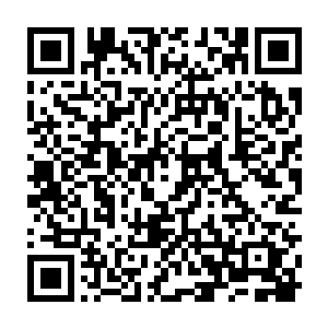 曾小美看着眼前的这一帮一个个完全没有了平时在办公室的那种威严的形象二维码生成