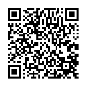 曾毅和朝廷文臣之间就算是有不对付可也不至于如此的深仇大恨二维码生成