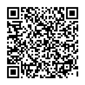 曾经与张铁见过两面的原艾斯基尔城金鹏银行的经理徐涛出现在了舷梯的门口二维码生成
