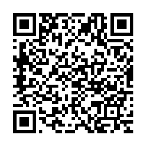 曾经和一个东部宗门刚刚突破人尊初期的修士在擂台之上决斗二维码生成