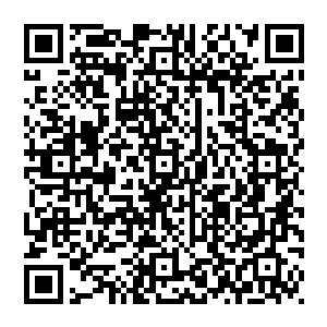 曾经因为甄妮和陆为民闹别扭时就曾经无意间和母亲说起过甄妮的性子其实不太适合要在仕途上打拼的陆为民二维码生成