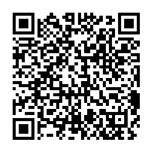 曾经瞧瞧的去过太医院看过姐姐的脉案……其实姐姐诶小产的时候二维码生成