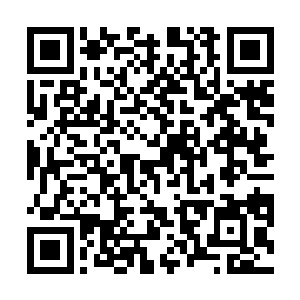 曾经程白泽的办工桌后面的书柜被换成骨灰盒展示架了二维码生成