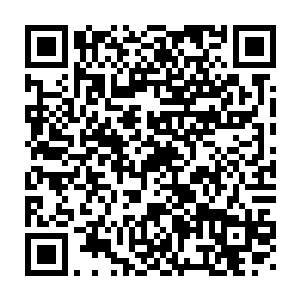 曾经经历第一次两界山大战的妖蛮诸王与诸皇面色出现明显的变化二维码生成