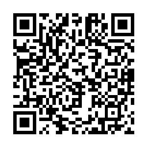 曾经青涩的小师妹们现在已经一个个长成了漂亮的大姑娘二维码生成