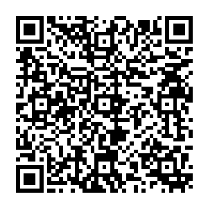 曾获得诺贝尔医学奖的专家给出的方案就是对一只雄性老鼠用电击等方式模拟伤害二维码生成