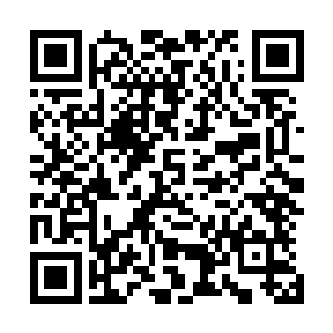 替换的次数最多其实还是蔡大奎的两个儿子蔡青松和蔡青文二维码生成