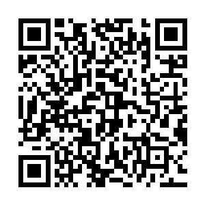 最中间的议会之厅不是我们可以去的……也只有各个执事与管家二维码生成