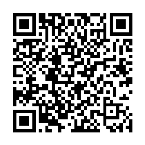 最为显眼的是刀柄握手把上镶嵌着一颗淡蓝如水的硕大宝石二维码生成