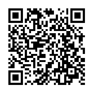 最主要的十九只巨大枝桠中的其中一只便抖落了无数的叶片二维码生成