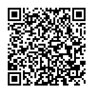 最主要的是她用凌菲的方法弄了很多半生不熟的野果子存到了地窖里二维码生成