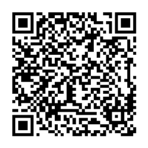 最令他们惊讶的是那里的主打菜式里居然用了市面上价值昂贵的辣椒二维码生成