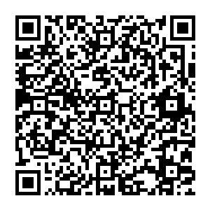 最低职称是次席教授→每个系最多只能拥有三名次席教授=本系的教授们全都坐在讲台的板凳上了二维码生成