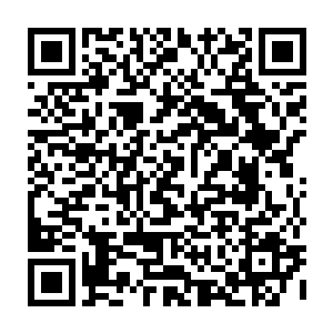 最做出手滑一交错导致整个人重心失控就要摔倒的模样――这是在讽刺雨果的二维码生成