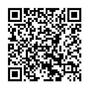 最先受到杀戮之气波及的妖兽们已经在海下开始了厮杀二维码生成