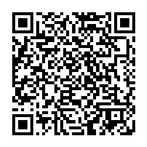 最具代表性的就是以秦渭和杜维运这两位大导演为首的一批人的脱颖而出二维码生成