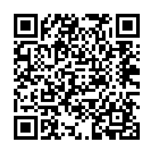 最初他还打算在台湾的年轻俊彦里边替苏燕青介绍一个二维码生成