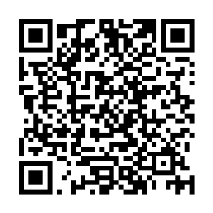 最初便是从墨修尧派人暗杀北晋王后和王子公子们开始的二维码生成