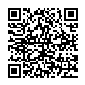 最初的时候在灌木和野草当中行进的时候还没有发觉什么线索二维码生成