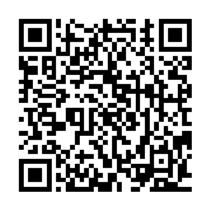 最后……有关绯红之虎海盗团的位置与补给点我们正在全力打探二维码生成