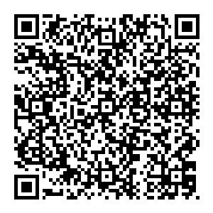 最后一个站着的人 将他手中的大刀砍向一头黑猩猩之后 终于被另外的几头黑猩猩给扑倒 而后很快就被撕成了碎片二维码生成