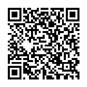最后一枚珍珠他是花了大价钱从一名外地的玩家手里购买到的二维码生成