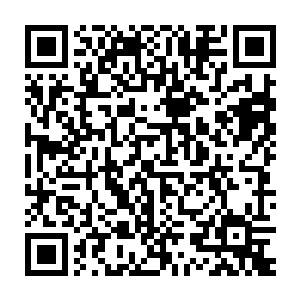 最后变得完全就像是张铁在自己的手上戴了一双大蒲扇一样的手套一样二维码生成