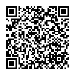 最后变成修真界纪事中一则可能只用一句话就概括过去的传闻而已二维码生成