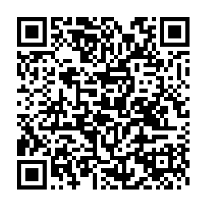最后只能让已经成为灰血精灵和亡灵的苏安娜来充当代表……从那时起二维码生成