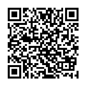 最后在生漆里面浸泡了一天拿出来用水布仔细的打磨均匀二维码生成