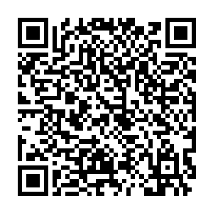 最后在眨眼之间便从那一片狼藉的陨皇山战场变成了一片无边无际二维码生成