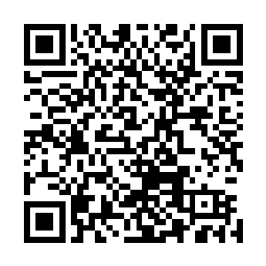 最后形成了一件跟那血甲男子身上血铠几乎一模一样的铠甲二维码生成