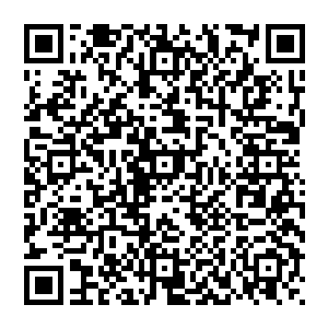 最后成功在长大之后完成转型――又或者是成功在五光十色的娱乐圈之中坚持住了自我顽强长大的艺人二维码生成