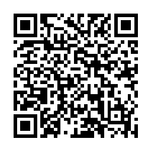 最后更是被现任的蛊王南宫璟宸封了为了苗寨的大护法二维码生成