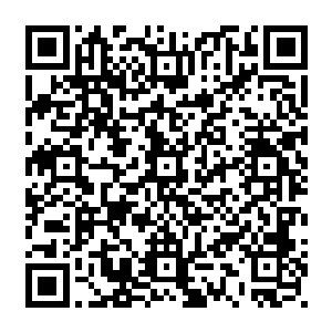 最后林东成为了一个上元大陆中唯一的一个被一群修为比他高的仙尊群殴死的修士二维码生成
