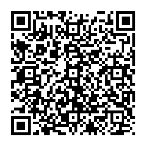 最后楚暮在食灵兽的头部大脑位置找到了一颗龙眼一般大小的乳白色如同无暇珍珠般的珠子二维码生成