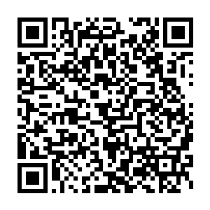 最后由张淑贞和他的师兄张安石两个人破开了两颗秘藏之珠找到的二维码生成