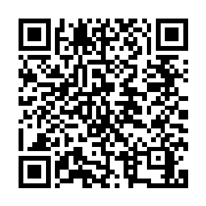 最后直接跟那从令牌上激荡而出的灰白光辉狠狠的撞在了一起二维码生成