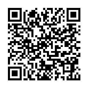 最后绝大多数的胎种也只定格在了继承着世界树二维码生成