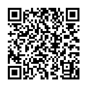 最后赢得少了……或许这赢来的几十万对于他们的身价不算多少二维码生成
