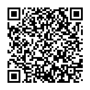 最后还害的她惨被丧尸咬死……还这一件件一桩桩罄竹难书的深仇大恨二维码生成