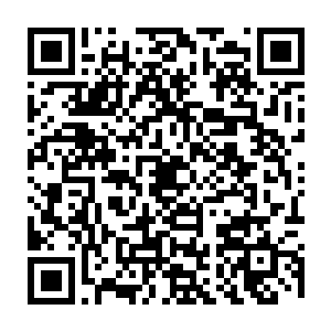 最后还是兰苑利用水属性将夏天挖的洞用冰凝固上才稳定住他们的地下房间的二维码生成