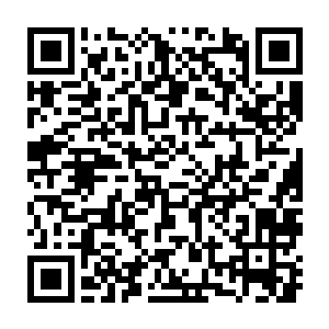 最后还是请一个和他们家相熟的粮油铺子的掌柜的专门从南方运过来的二维码生成