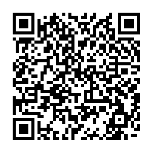 最后这道神念波动却是通过一枚镌刻了震荡符阵的法宝单元折射传送出来二维码生成