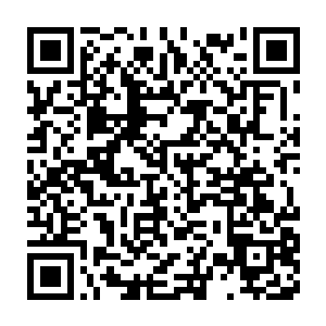 最后除了在城外找到了已经几乎快要认不出模样的钱枫的尸体之外二维码生成